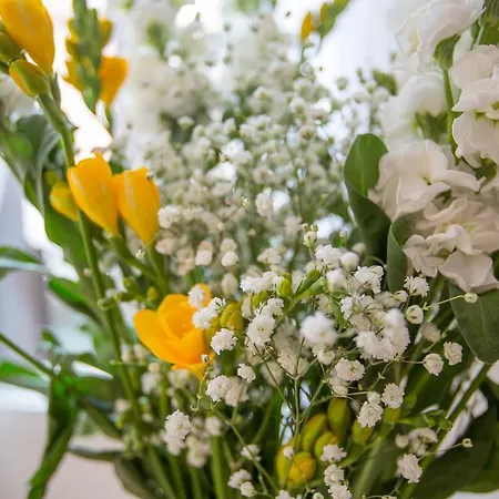 Casa Petrarca Venezia