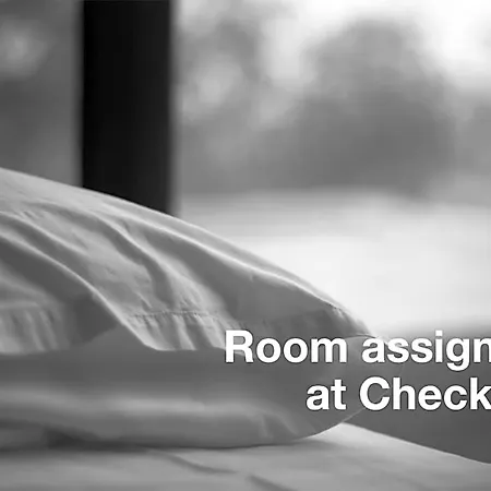 Casa Petrarca *