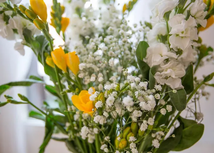 カーサ ペトラルカ ヴェネツィア